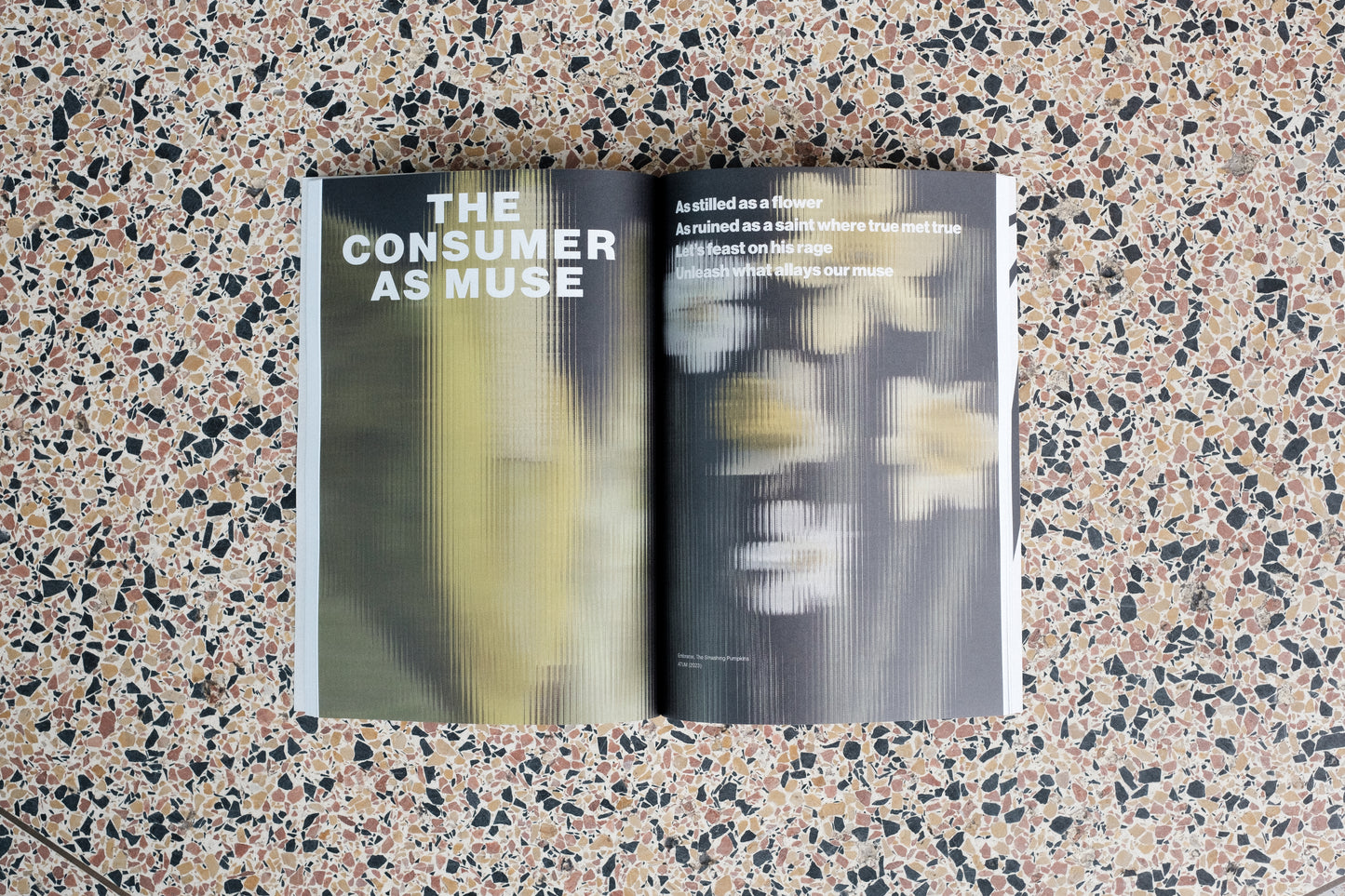 MUSES Journal • Limited Run (Collector-Run Print)